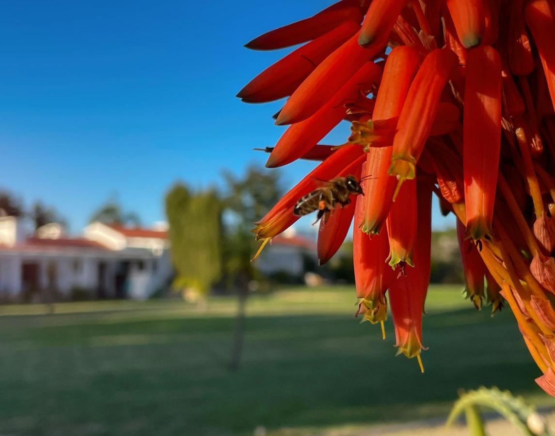 Herdade Do Kuanza Zambujeira do Mar Exteriér fotografie